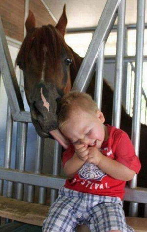 Мальчик и лошадь