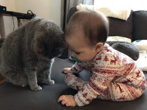 Ребенок и кот