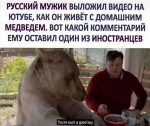 Русский и медведь